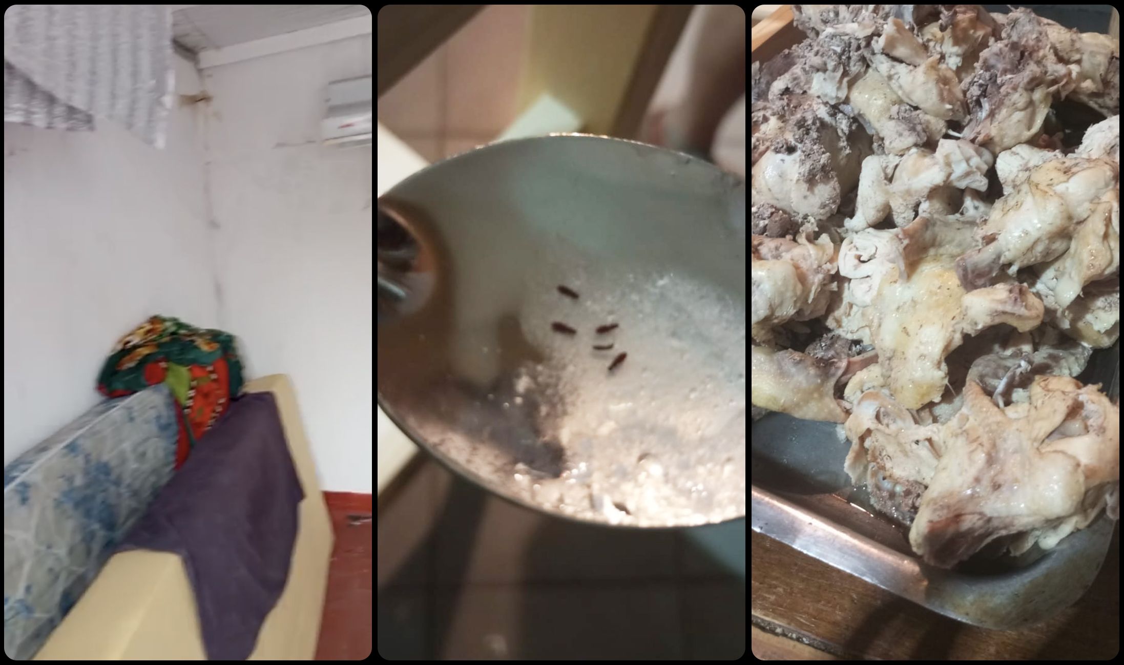 阿根廷足球青训的残酷现实：天才工厂背后的代价